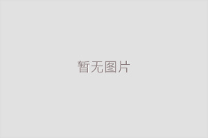 国务院办公厅关于印发《扎实推进高水平对外开放更大力度吸引和利用外资行动方案》的通知